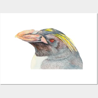 Macaroni Penguin - Antarctic bird Posters and Art